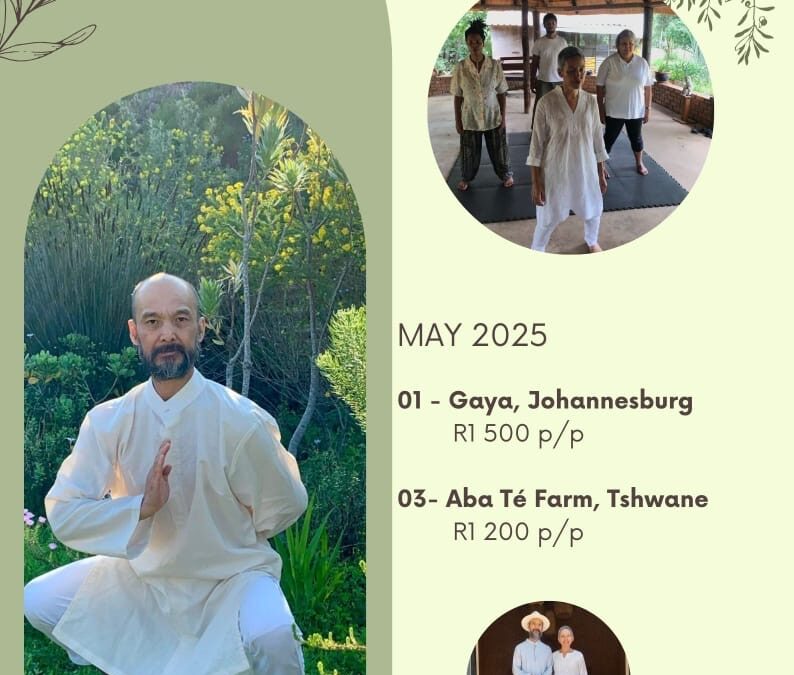 JOIN ONE OF OUR JOBURG & TSHWANE QIGONG SERENITY 1-DAY RETREATS